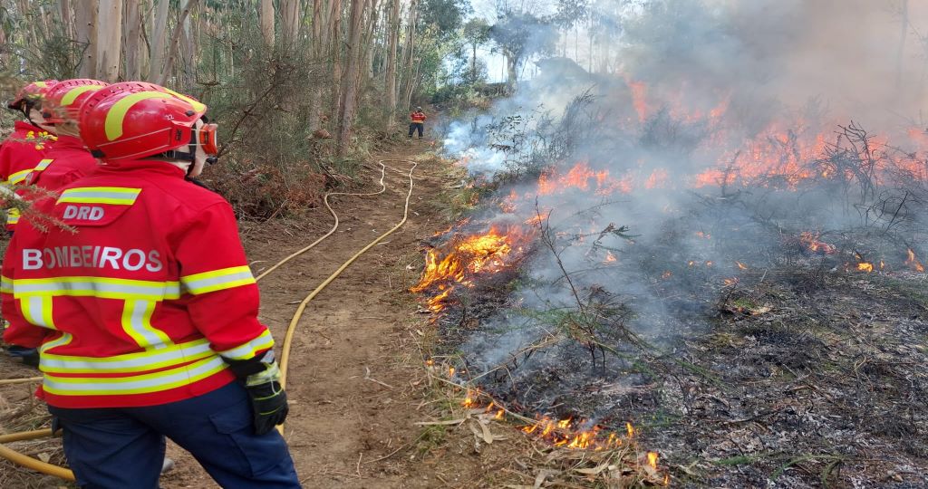 Nove Concelhos De Faro Portalegre E Santarém Em Risco Máximo De Incêndio Liga Dos Bombeiros 7433